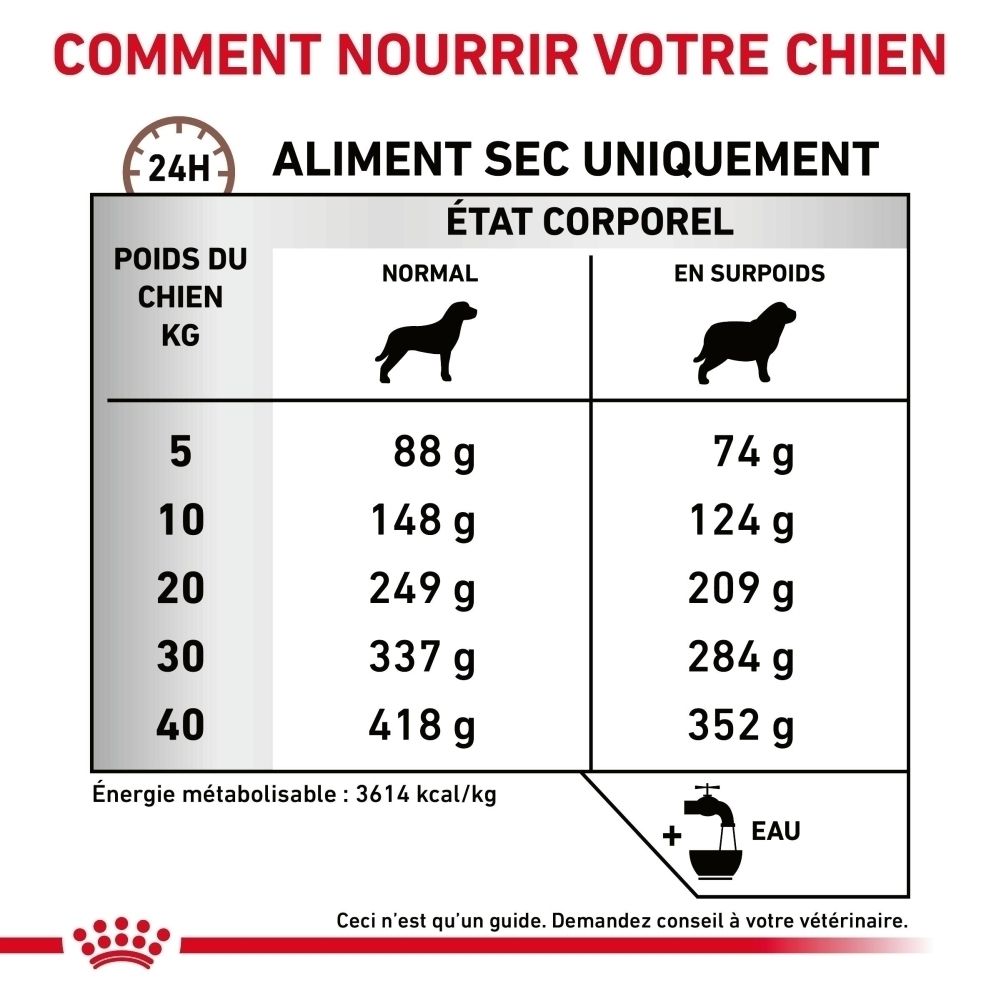 Tableau d'alimentation pour nourriture sèche : poids du chien, états corporels normal et en surpoids, quantité de nourriture en grammes.