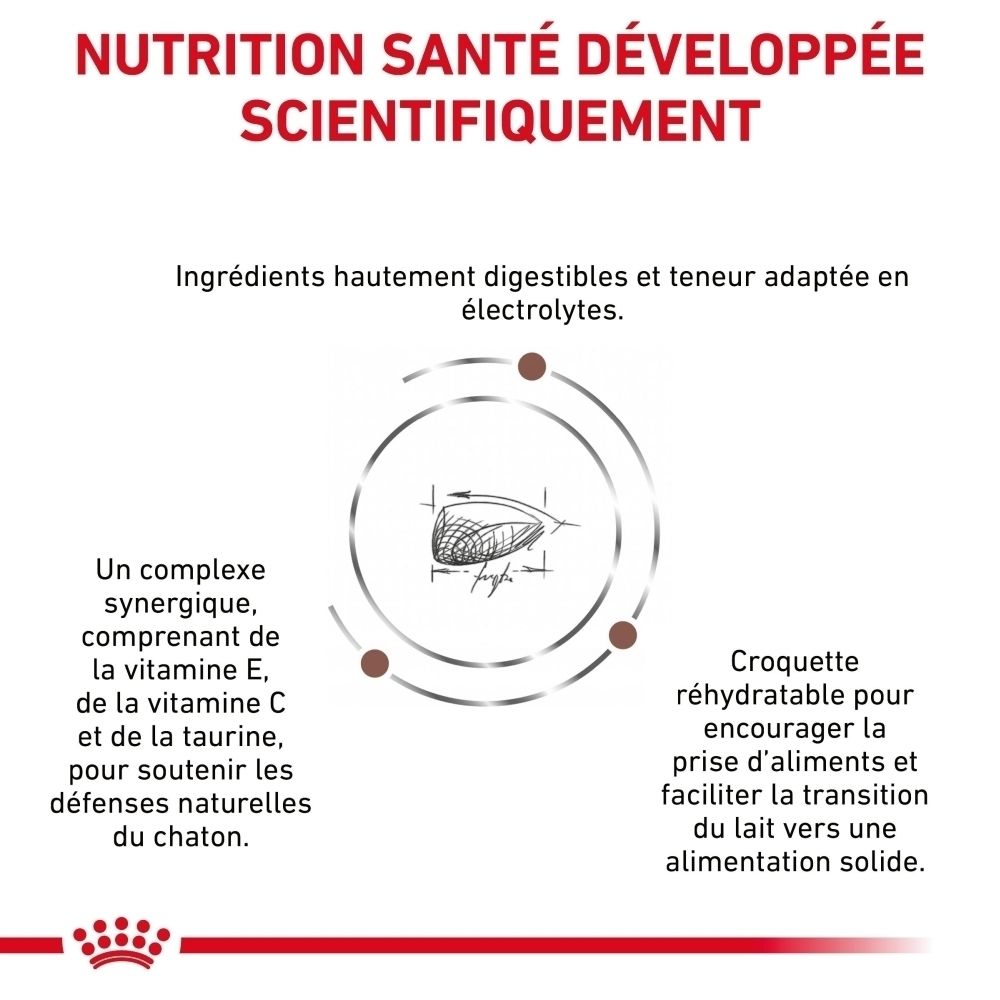 Sac Royal Canin Veterinary Gastrointestinal Kitten 2kg, vue de côté.