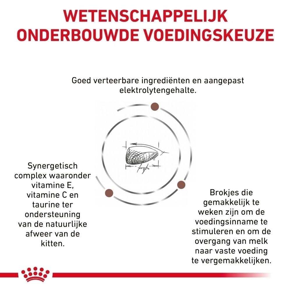 Achterkant van een zak van 2 kg Royal Canin Gastrointestinal Kitten.