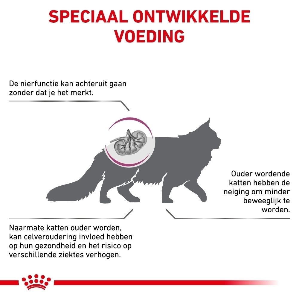 Grafiek: kat met illustratie van nieren, die de nierfunctie bij katten uitlegt.