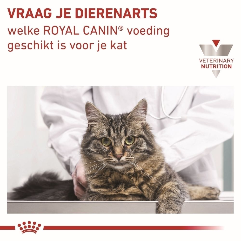 Dierenarts adviseert over de keuze van Royal Canin kattenvoer.