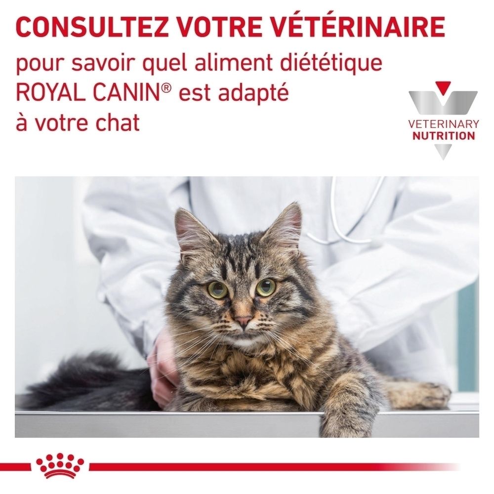 Nourriture vétérinaire Royal Canin Renal pour chats, sachet de 85g.