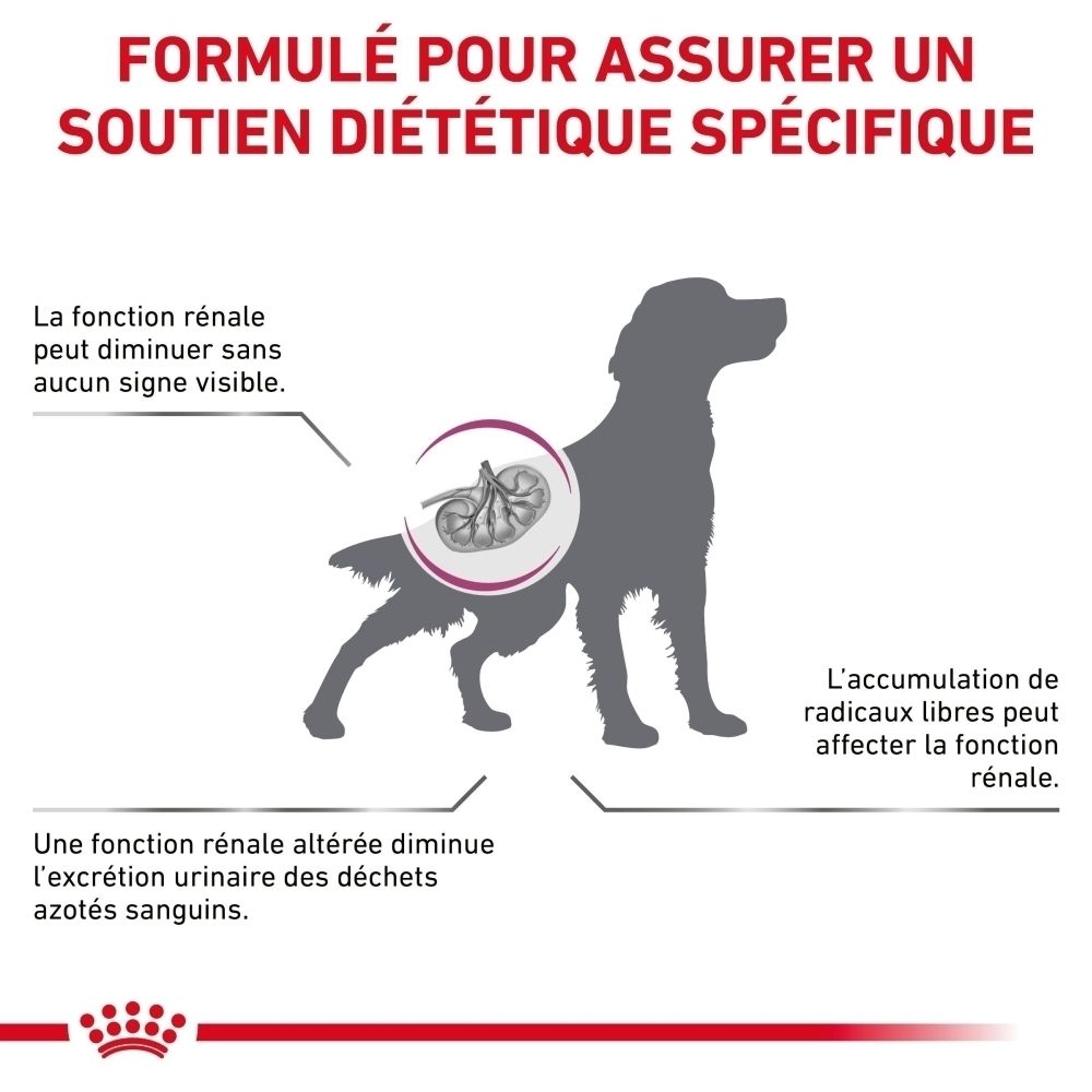 Graphique illustrant la fonction rénale chez le chien avec Royal Canin Veterinary Early Renal.