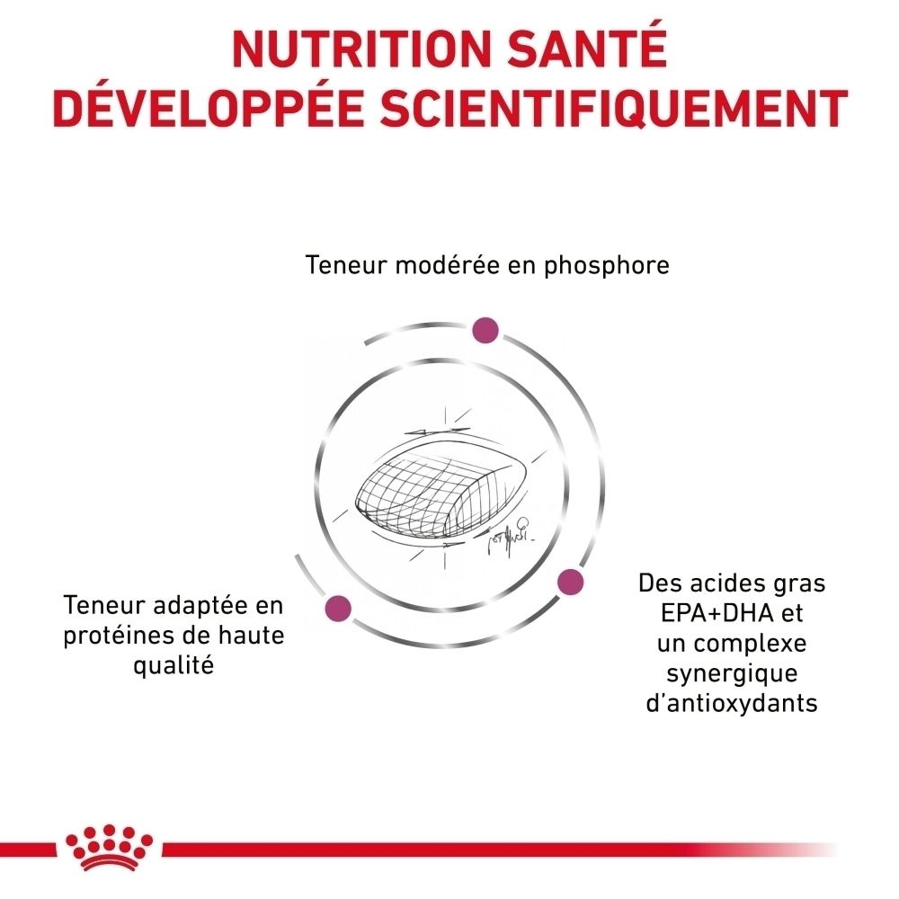 Graphique sur les avantages de Royal Canin Veterinary Early Renal pour la santé rénale.