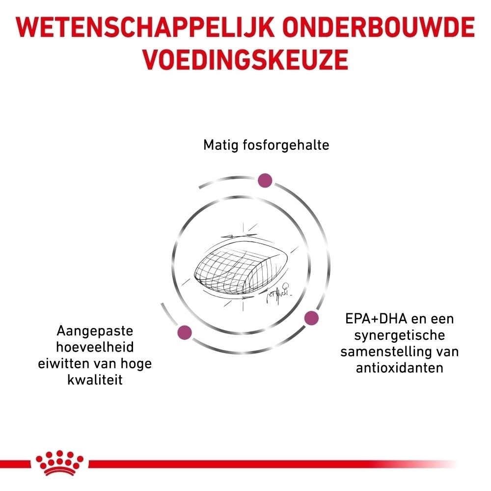 Grafiek die de nierfunctie bij honden illustreert met Royal Canin Veterinary Early Renal.