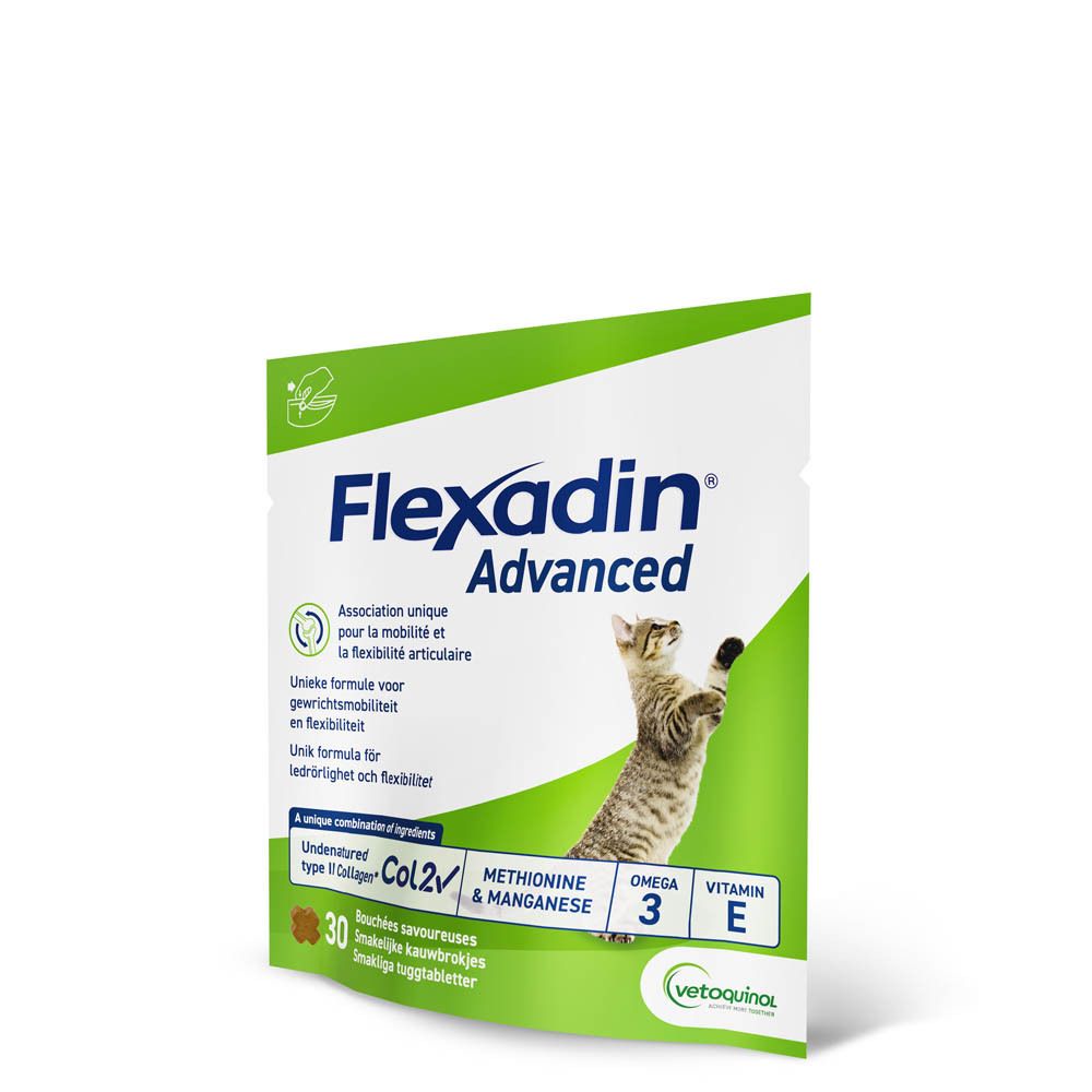 Flexadin Advanced Chat
