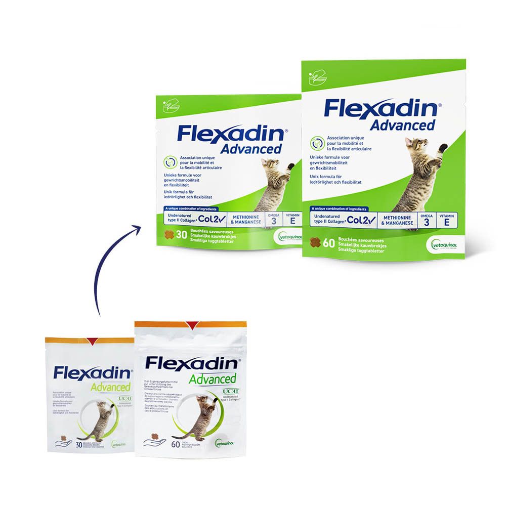 Flexadin Advanced Chat