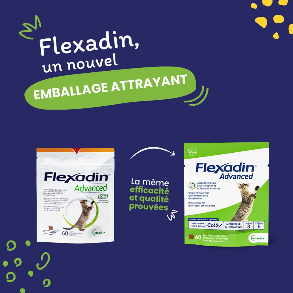Flexadin Advanced Chat