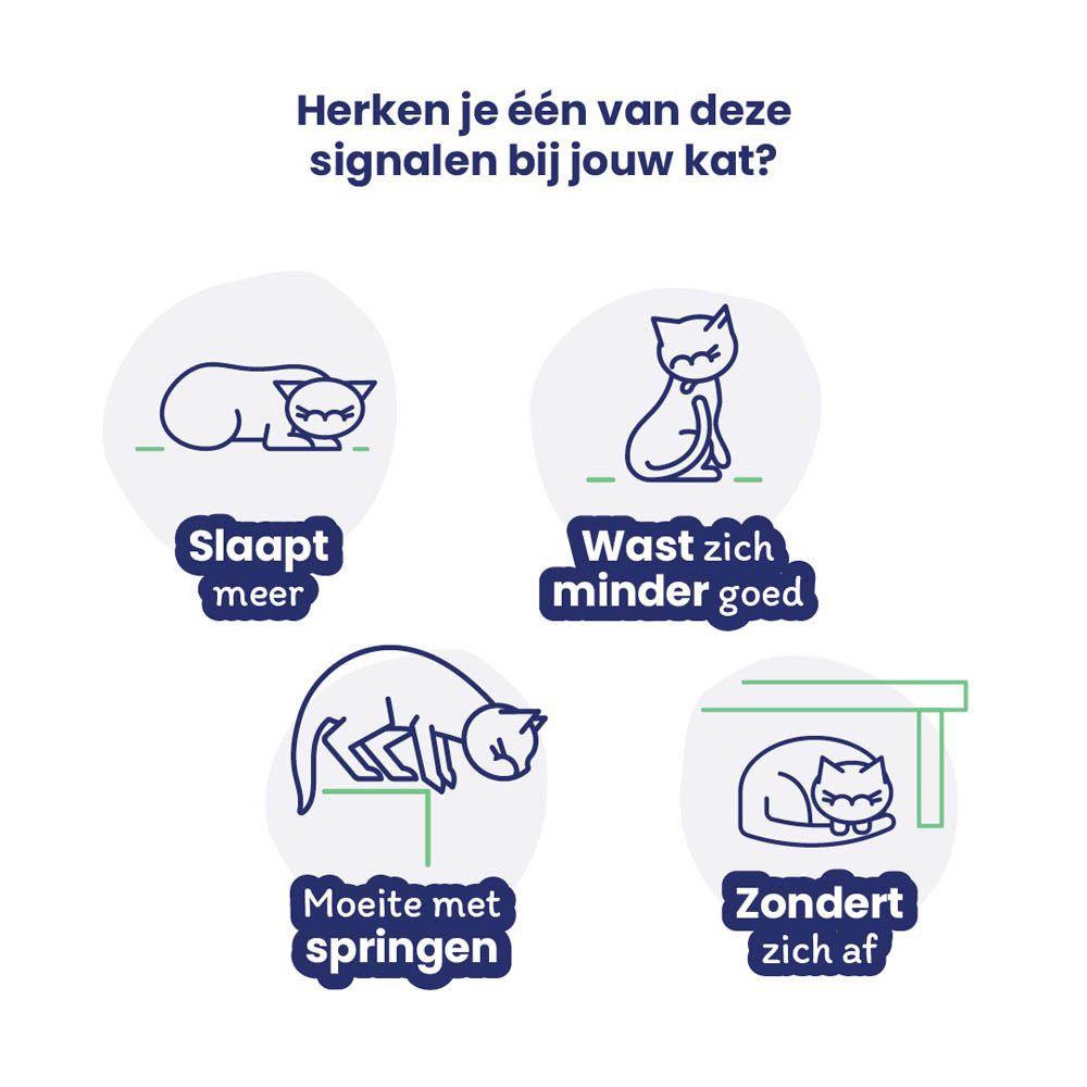 Flexadin Advanced Kat