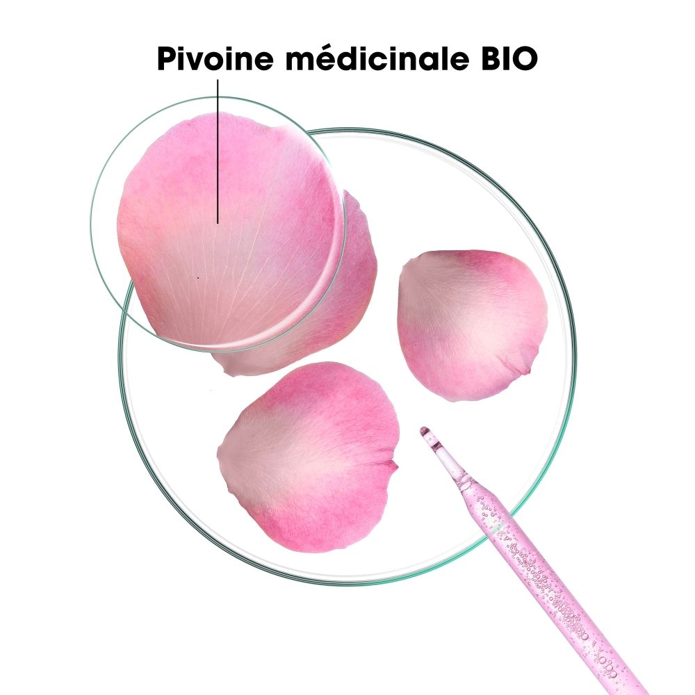 Pétales de pivoine sous microscope, pipette avec sérum.