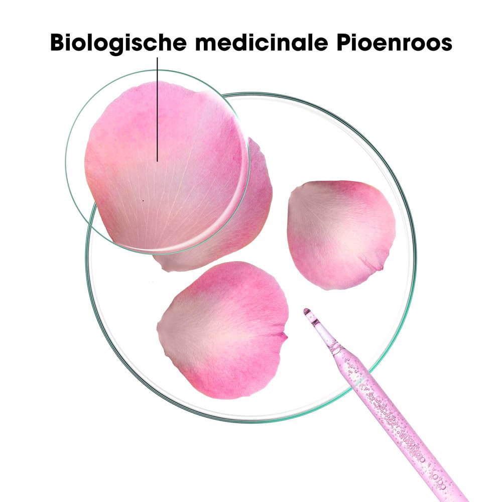 Roze shampoo fles. Tekst met productinfo. Roze bloemblaadjes. Tekst: 48u verlichting, Vermindert irritaties.