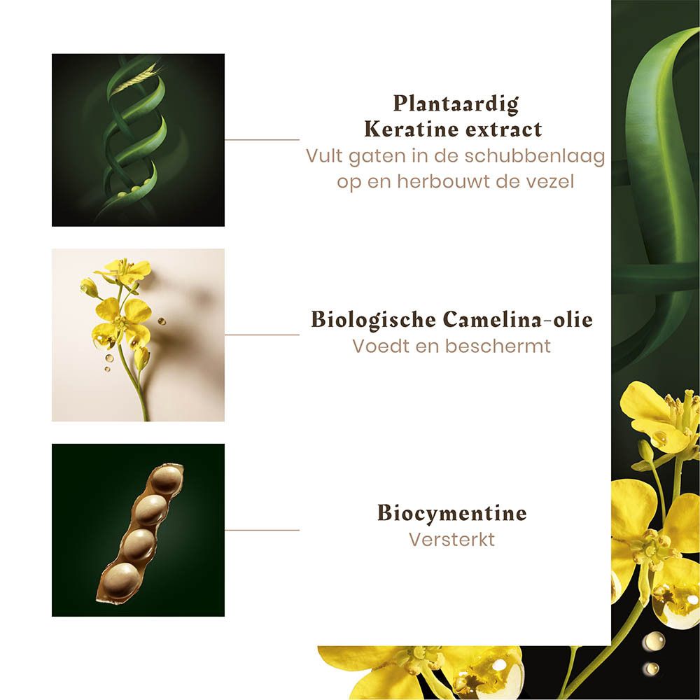 Plantaardig keratine-extract, biologische camelina-olie en Biocimentine voor haar.