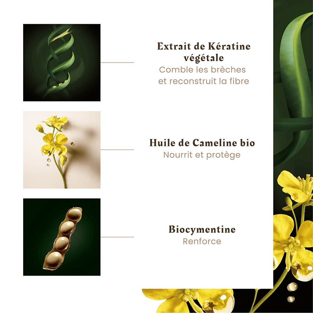 Extrait de kératine végétale, huile de cameline bio et biocimentine. Illustrations d'une hélice d'ADN, d'une fleur et d'une capsule de graines.