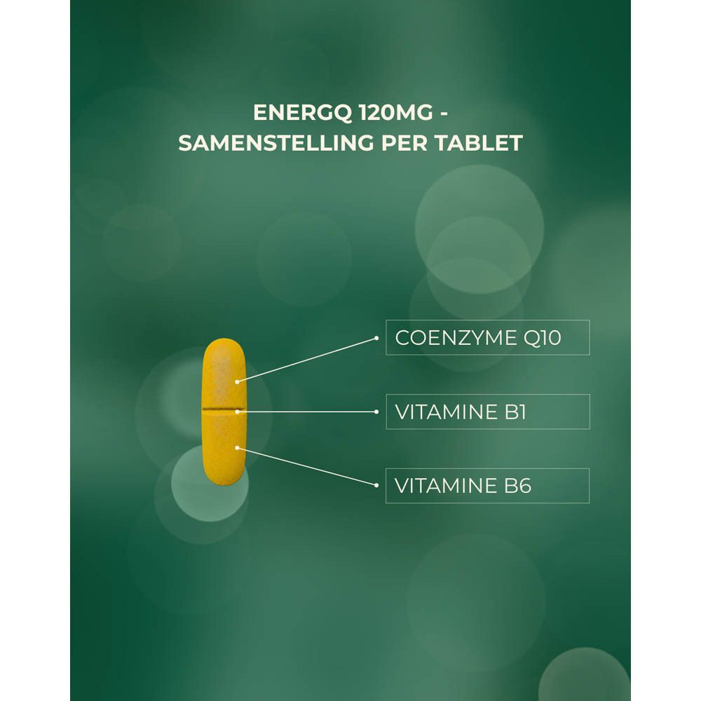 Afbeelding met gele tablet. Tekst: EnergQ 120mg - Samenstelling per tablet. Co-enzym Q10, Vitamine B1, B6.