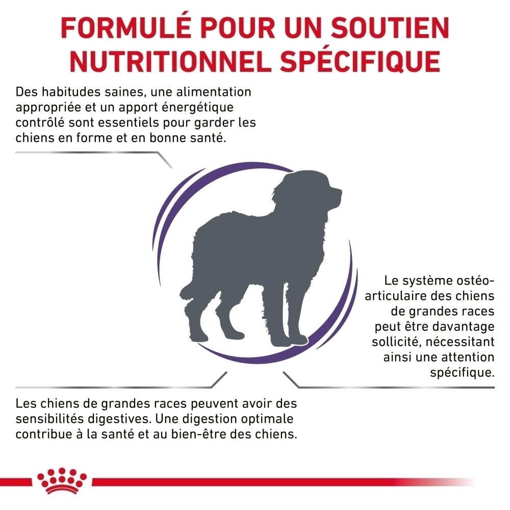 Silhouette grise d'un chien avec du texte sur un soutien nutritionnel spécifique pour les grandes races.