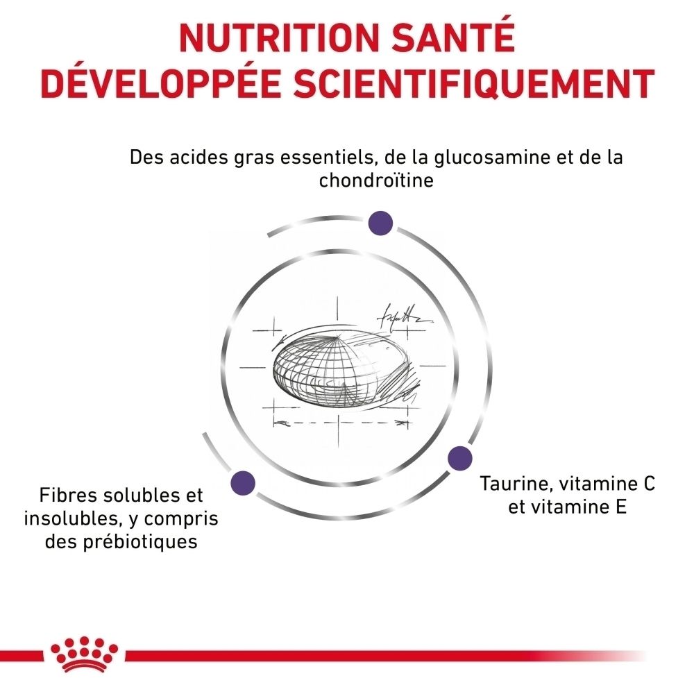 Nutrition santé développée scientifiquement : acides gras essentiels, glucosamine, chondroïtine, fibres solubles/insolubles, taurine, vitamines C et E.