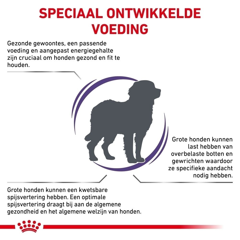 Illustratie van een grote hond met tekst over speciaal hondenvoer.