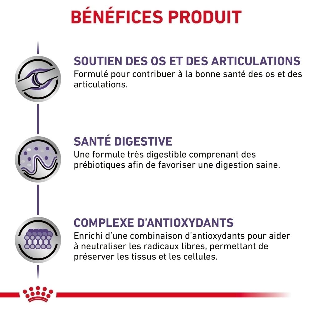 Bénéfices produit : Soutien osseux et articulaire, santé digestive, complexe antioxydant.