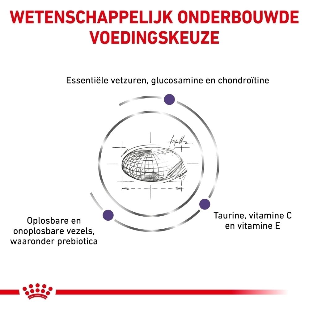 Grafiek met tekst: Wetenschappelijk onderbouwde voedingskeuze. Bevat essentiële vetzuren, glucosamine, chondroïtine, oplosbare en onoplosbare vezels, prebiotica, taurine, vitamine C en E.