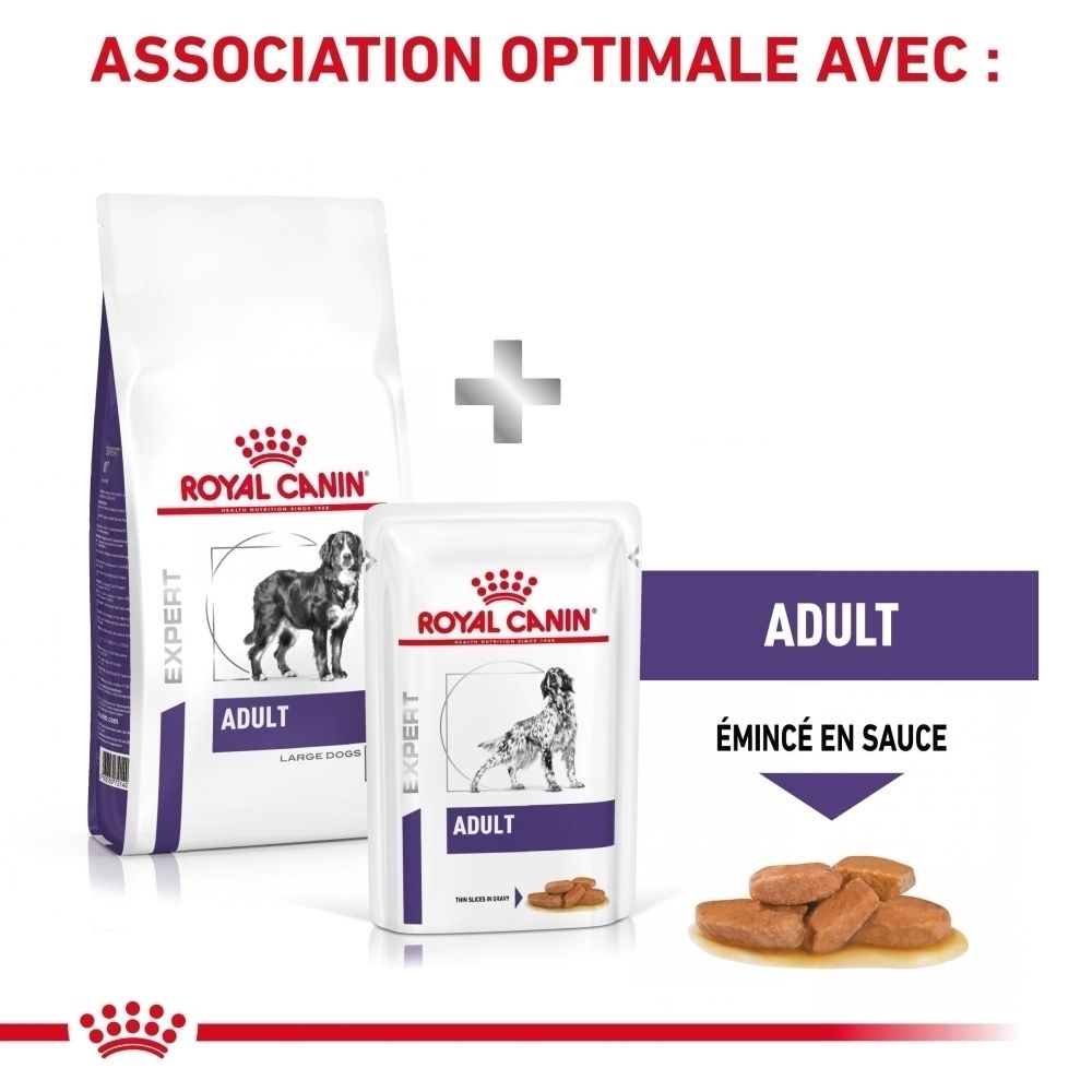 Nourriture pour chien Royal Canin : grand sac de croquettes et petite pochette de nourriture humide, avec un tas de nourriture humide à côté.