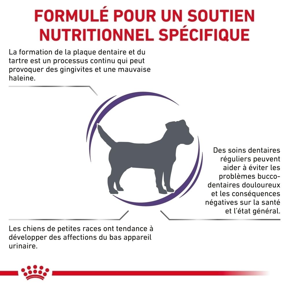 ROYAL CANIN® Dental Petites Races Croquettes, sac de 1,5 kg, vue latérale.