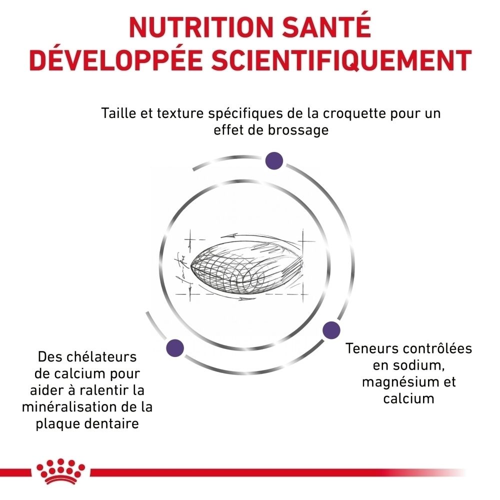 Arrière du sac de croquettes ROYAL CANIN® Dental Petites Races avec informations produit.