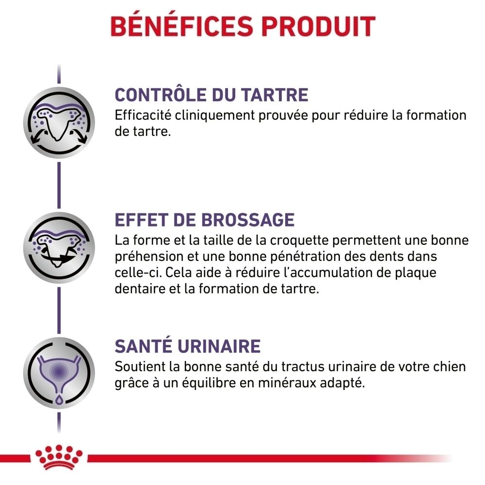 Côté du sac de croquettes ROYAL CANIN® Dental Petites Races avec tableau d'alimentation.