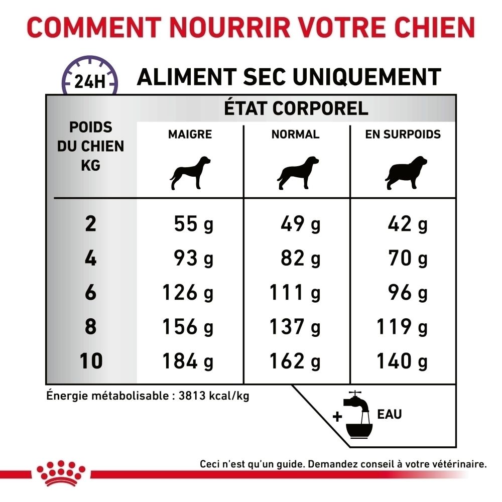 ROYAL CANIN® Dental Petites Races Croquettes, sac de 1,5 kg, vue de face.