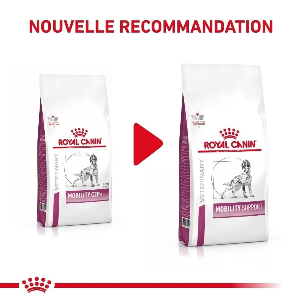 Deux sacs de nourriture pour chiens Royal Canin : "Mobility C2+" et "Mobility Support".