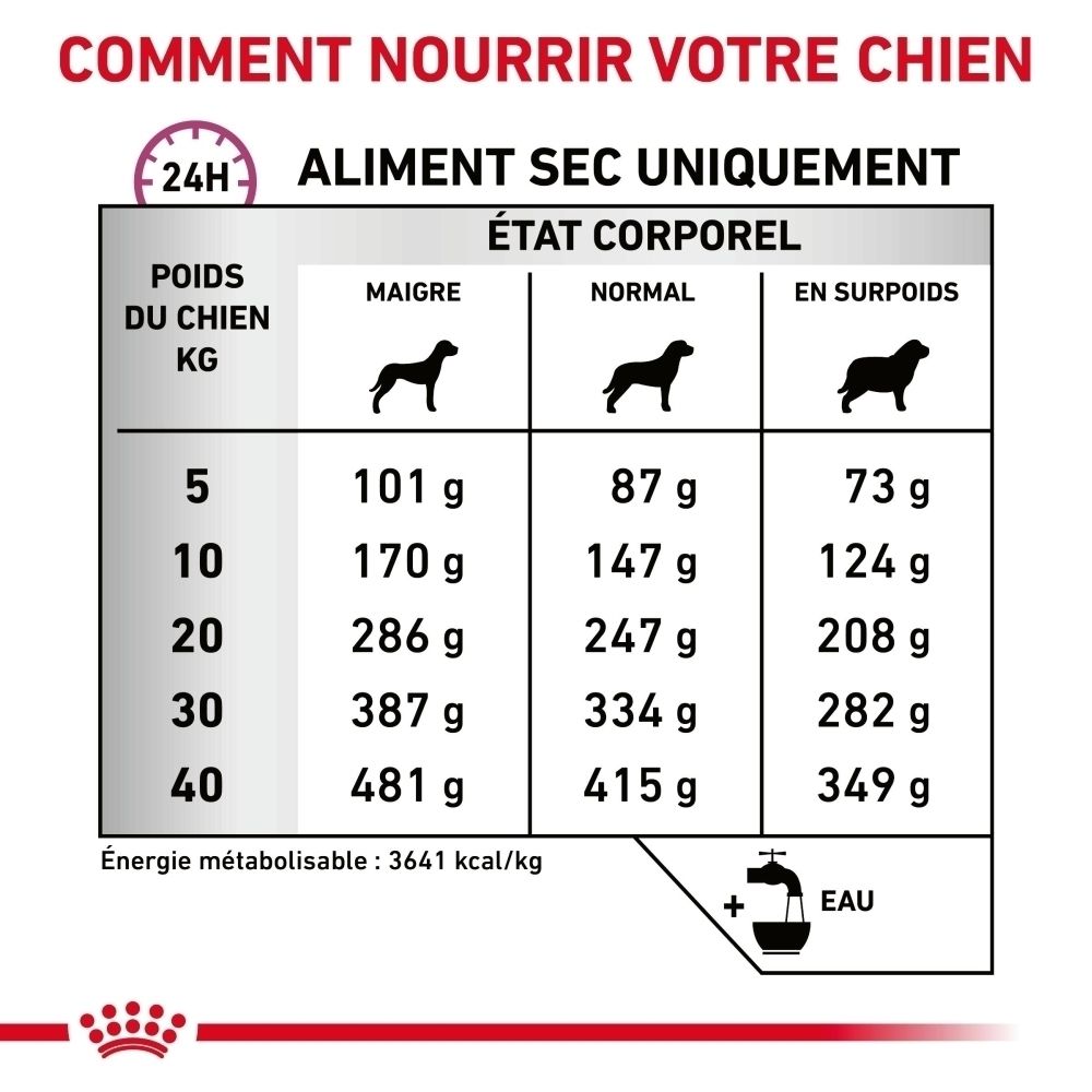 Tableau de rationnement pour nourriture sèche : poids du chien (kg) vs quantité (g) pour chiens maigres, normaux et en surpoids.