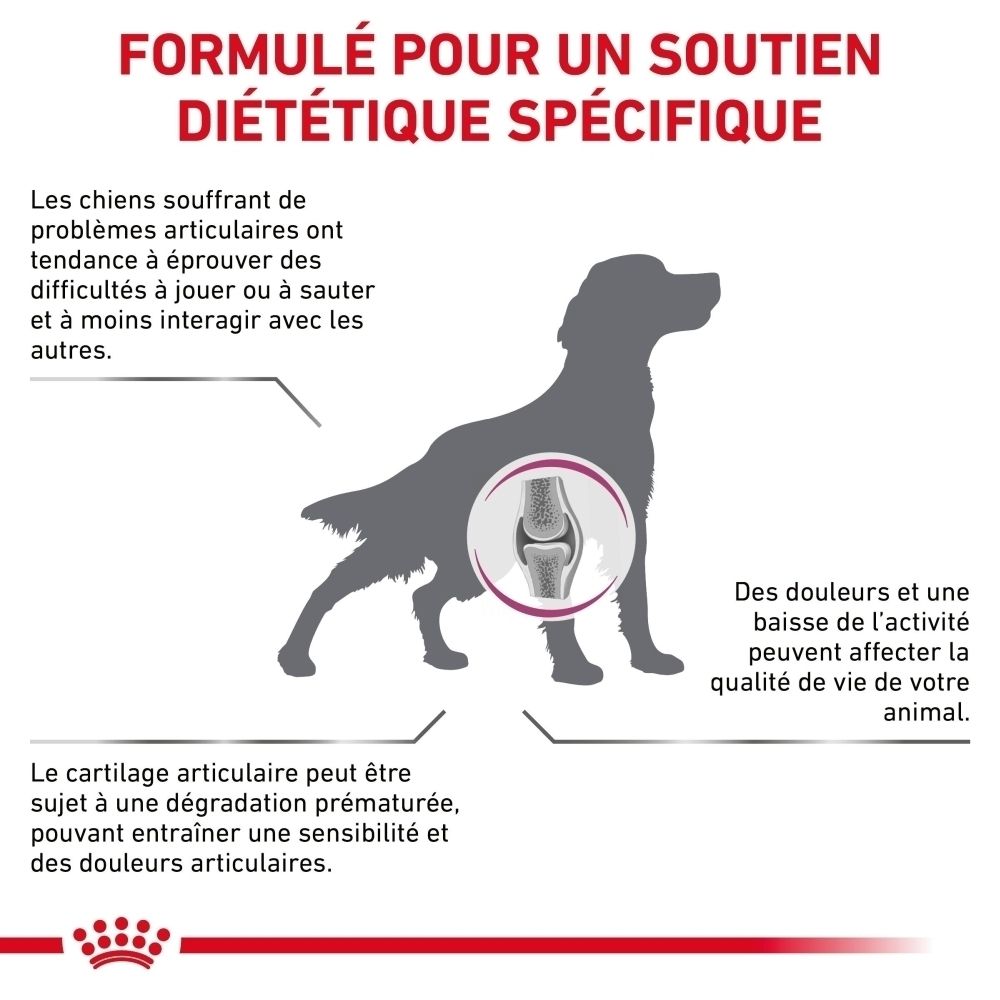 Graphique d'un chien mettant en évidence l'articulation du genou, abordant les problèmes articulaires et la mobilité réduite.