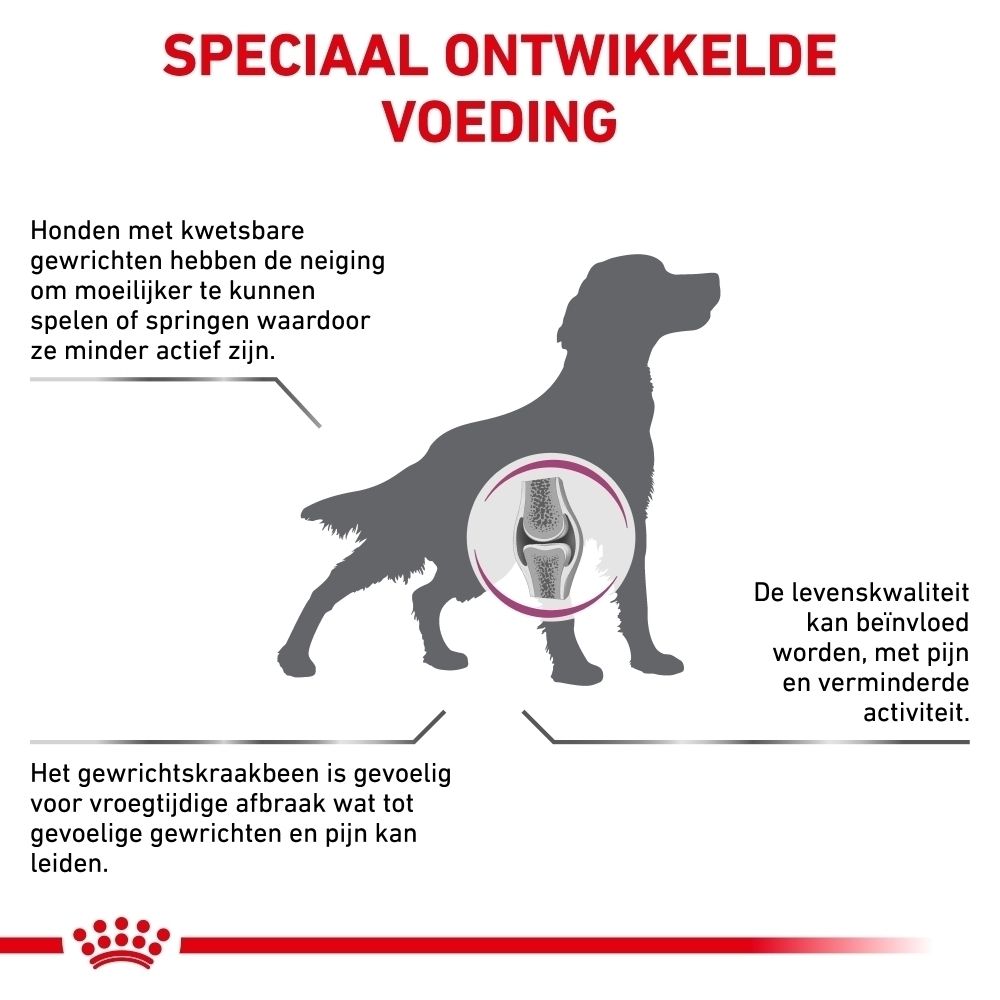 Grafiek die de gewrichtsgezondheid van honden met Royal Canin Mobility Support illustreert.