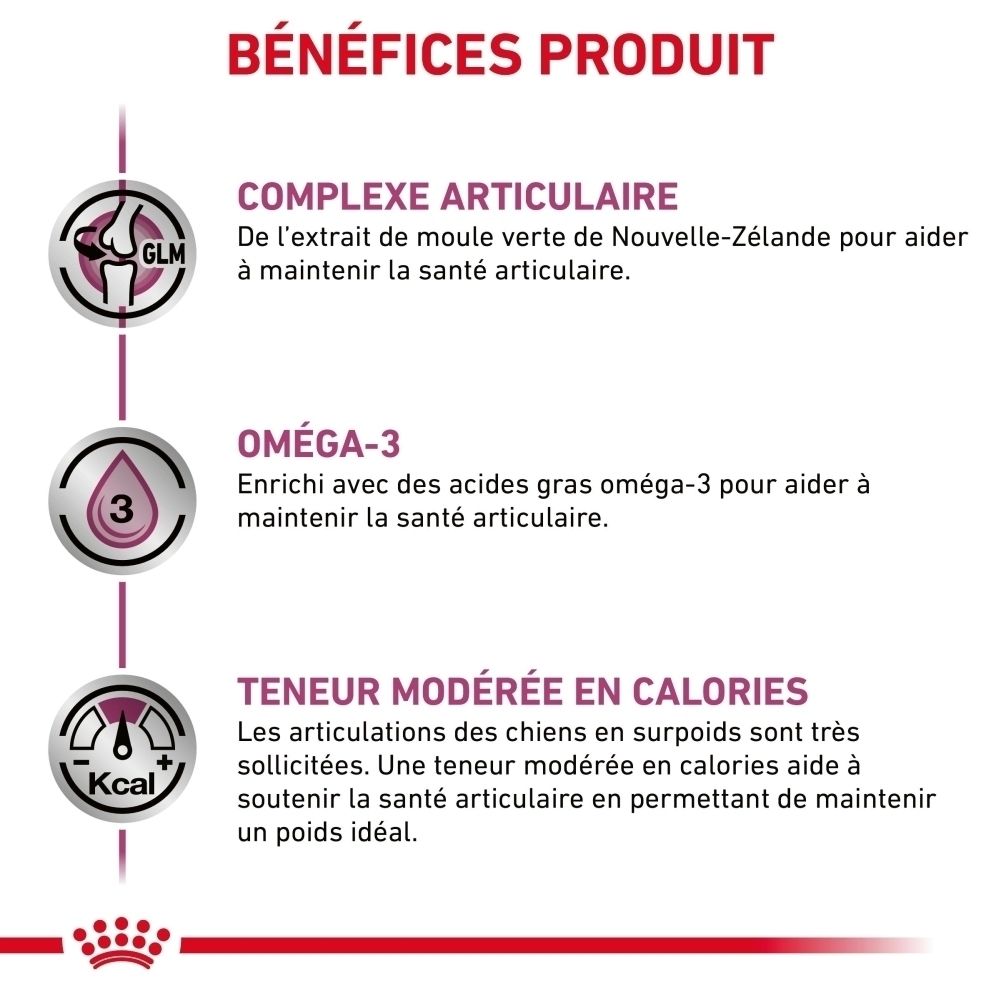 Complexe articulaire à base d'extrait de moule verte pour la santé articulaire.