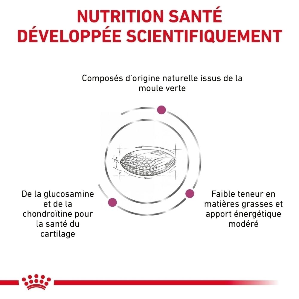 Graphique sur la nutrition scientifique, ingrédients naturels, glucosamine et chondroïtine pour la santé des cartilages.
