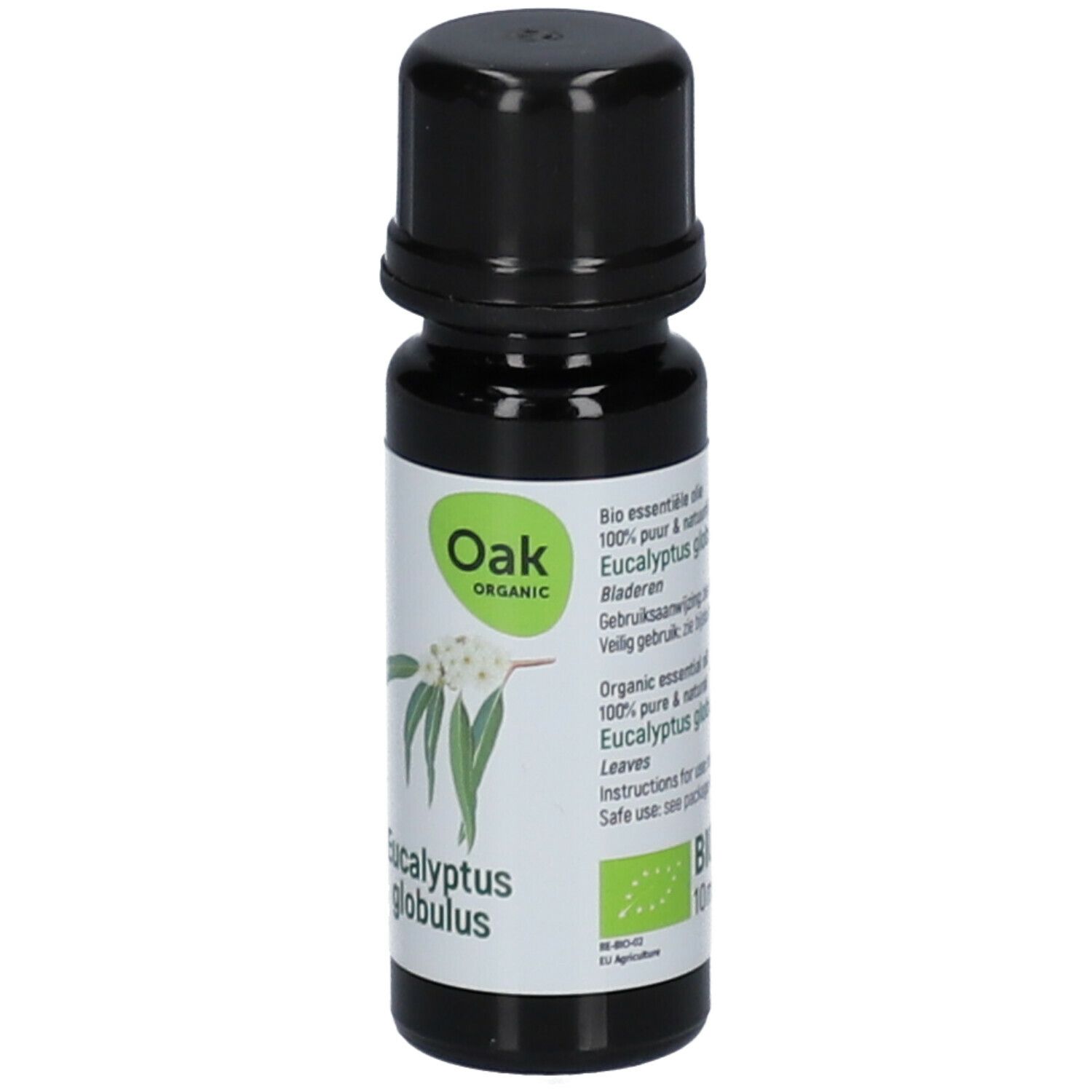 Oak Eucalyptus Globulus Huile Essentielle Bio