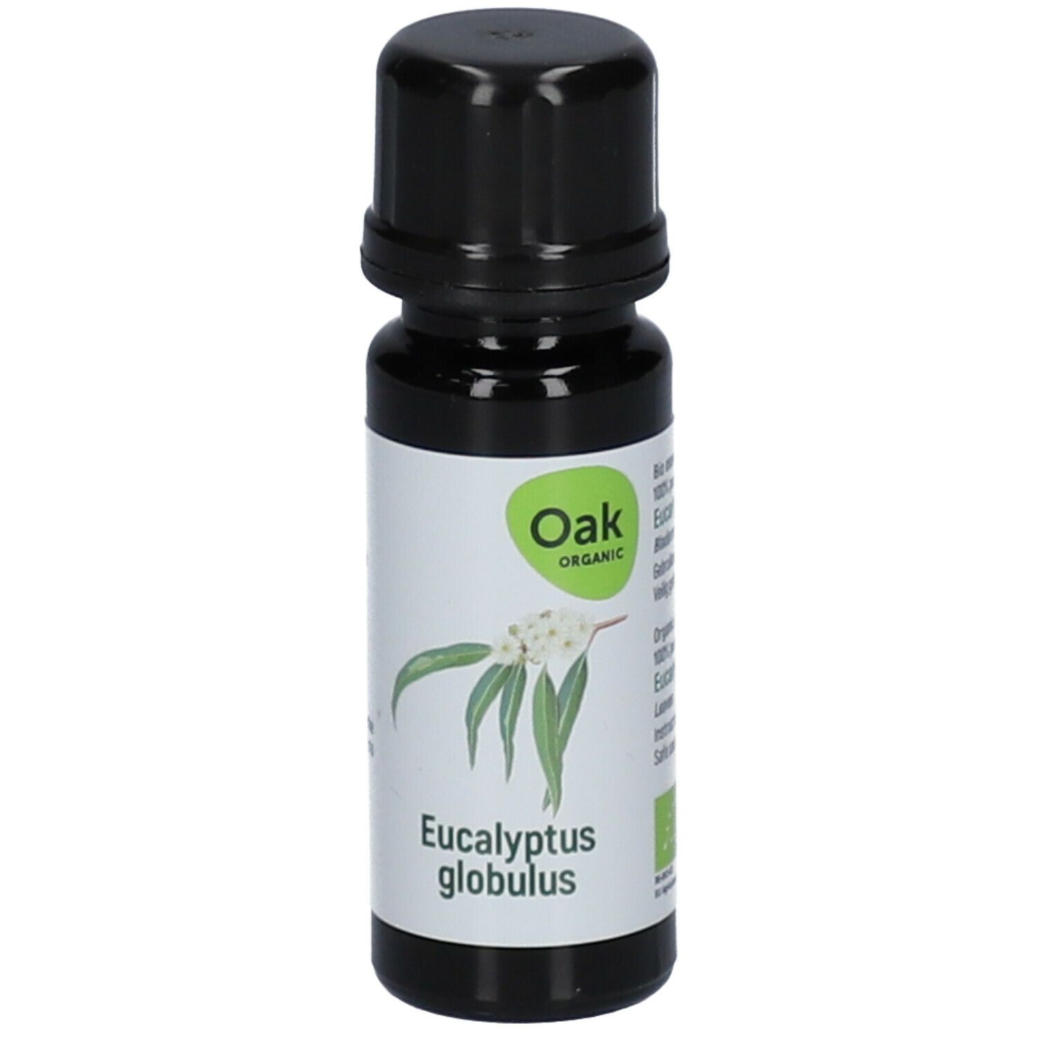 Oak Eucalyptus Globulus Huile Essentielle Bio