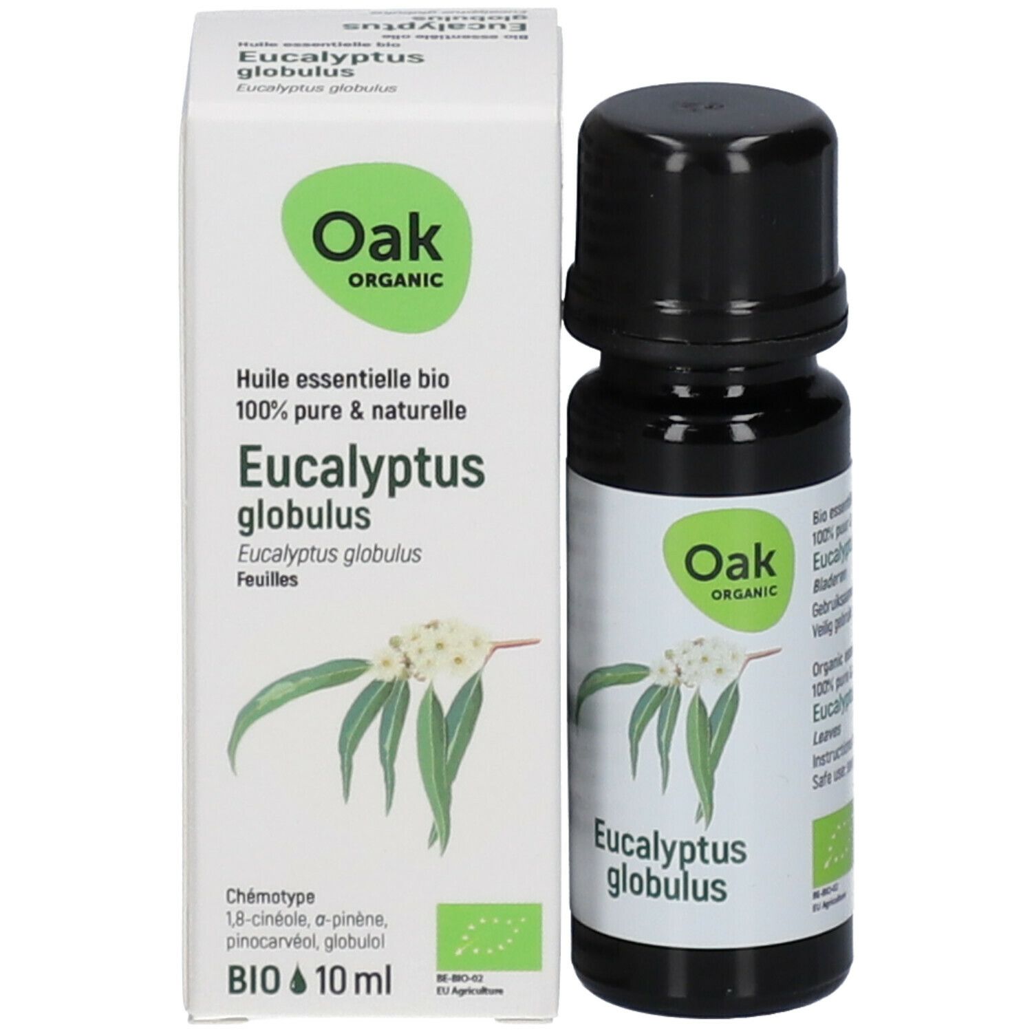 Oak Eucalyptus Globulus Huile Essentielle Bio