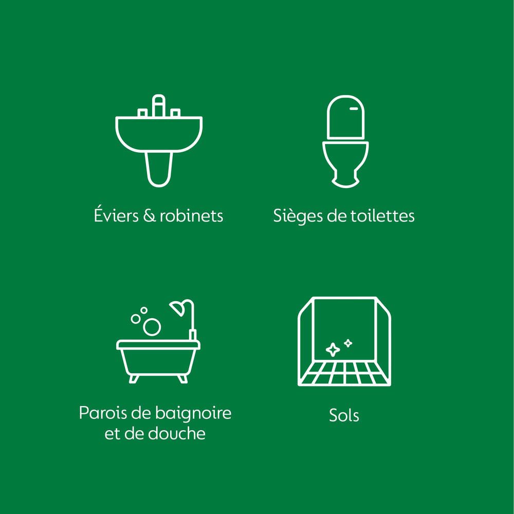 Désinfectant liquide Dettol Pharma pour surfaces : convient pour éviers, toilettes, salles de bain.
