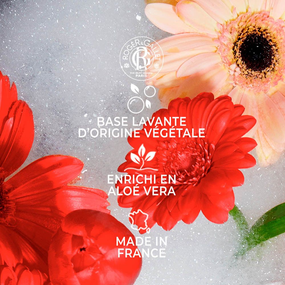 Gros plan sur des fleurs et des bulles de savon. Texte : Base Lavante d'origine végétale. Enrichi en Aloe Vera. Fabriqué en France.