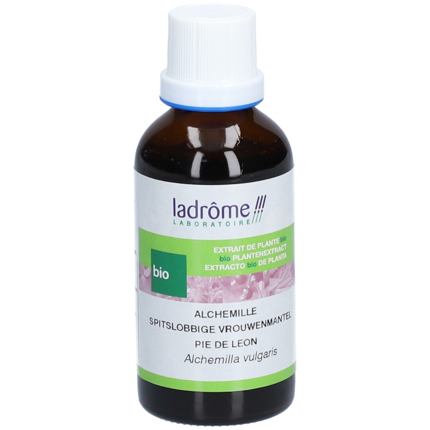 Ladrôme Alchémille Extrait Végétal