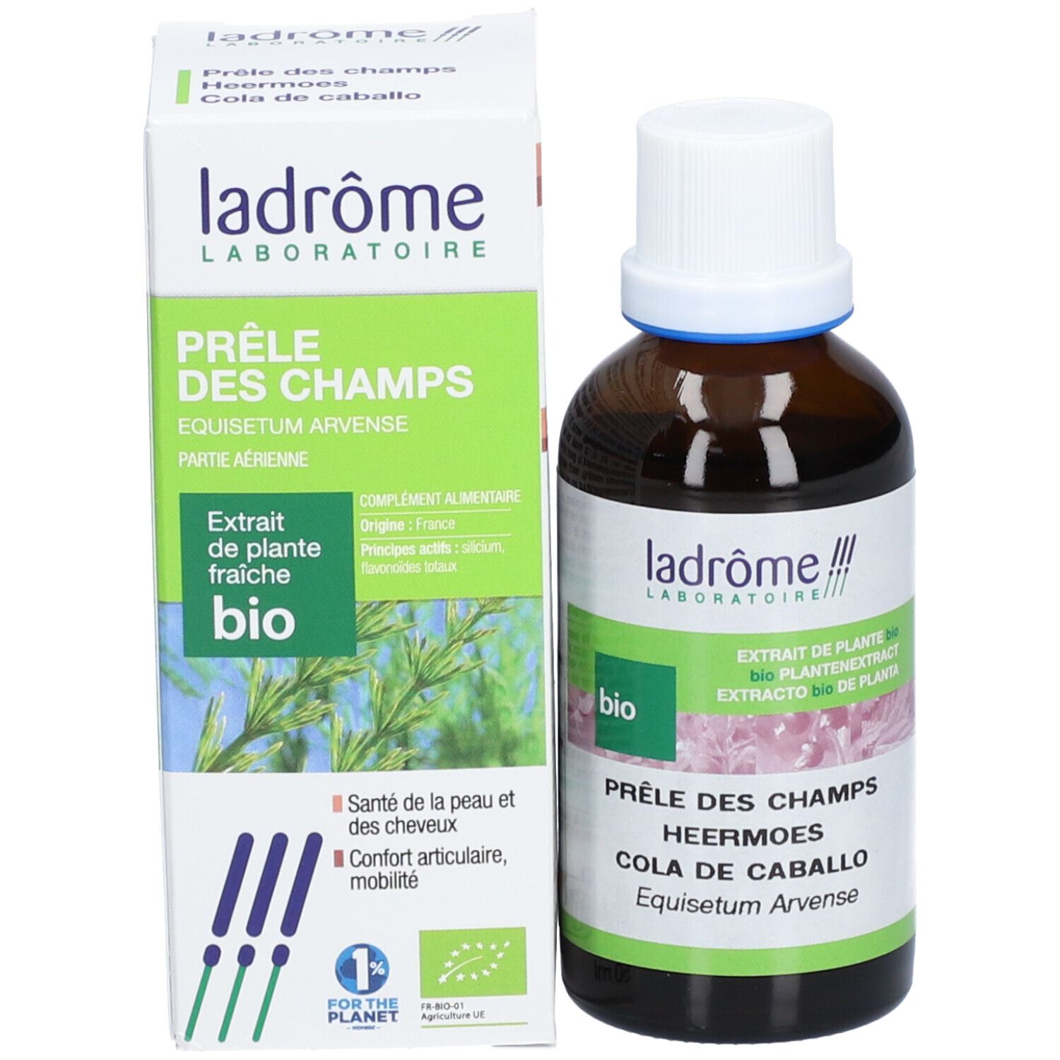 Ladrôme Prêle des Champs Extrait Végétal