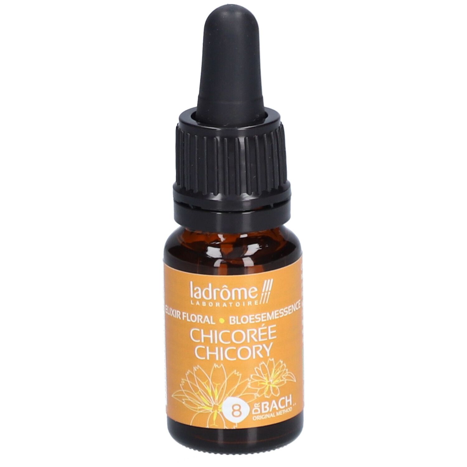 Ladrôme Chicorei N°8