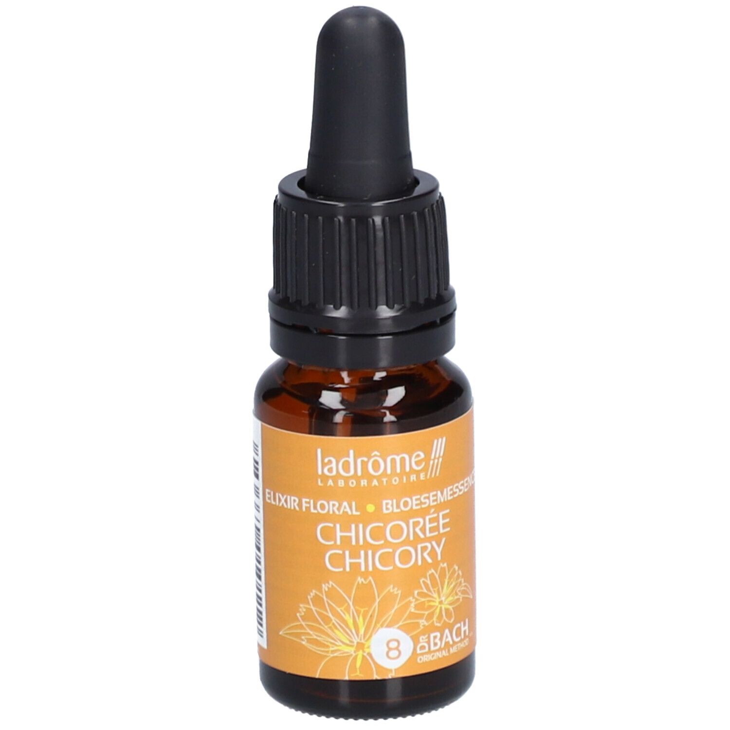 Ladrôme Chicorei N°8