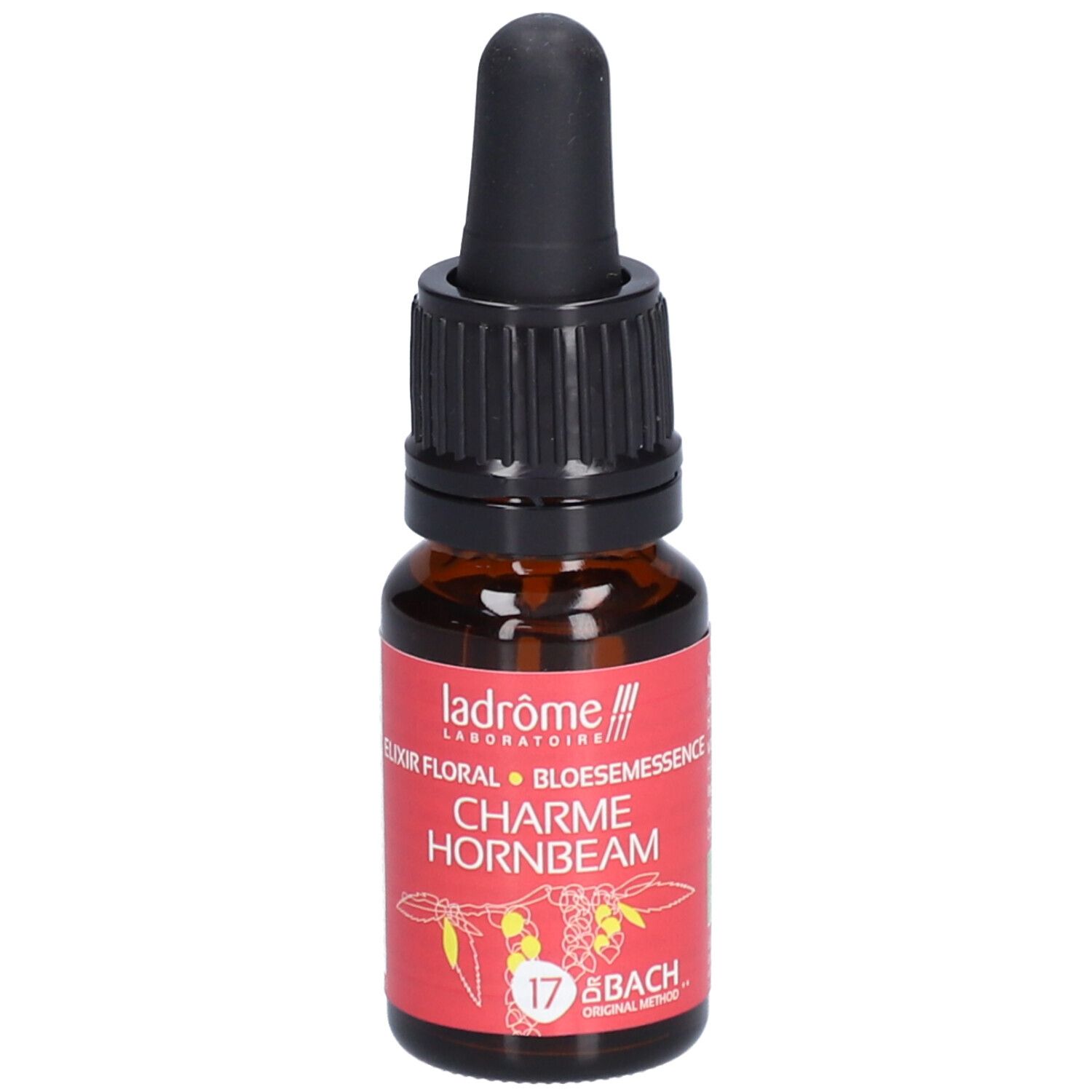 Ladrôme Charme N°17