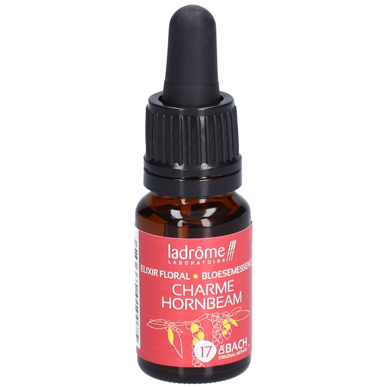 Ladrôme Charme N°17