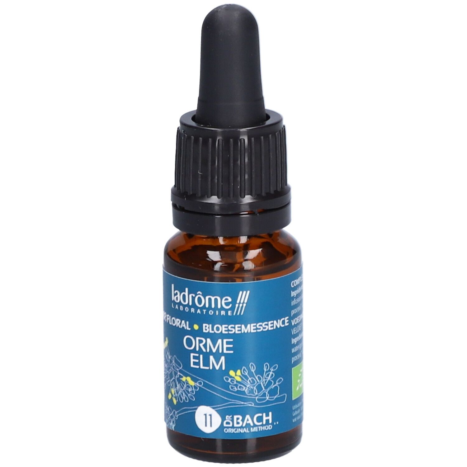 Ladrôme Orme N°11