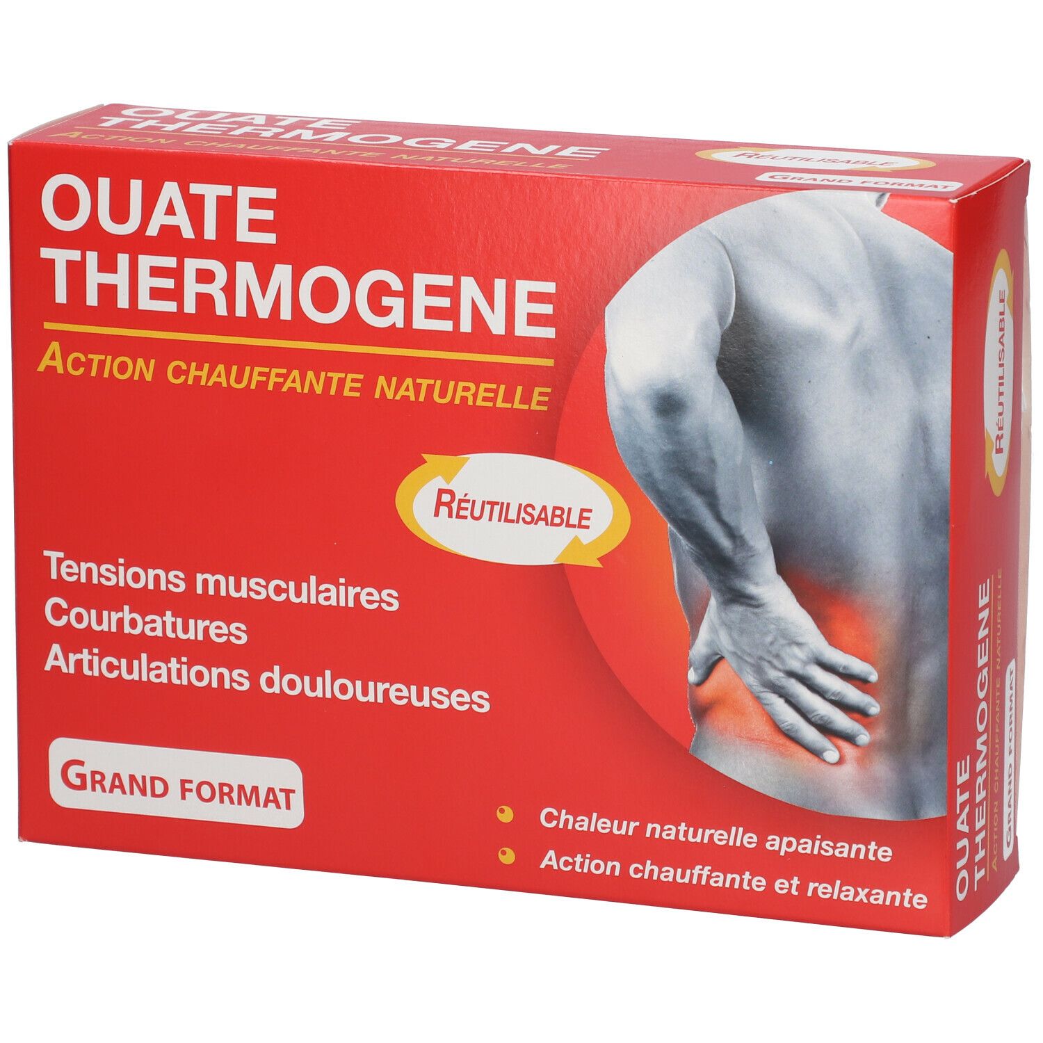 Reutilisable Thermogene Watten Groot
