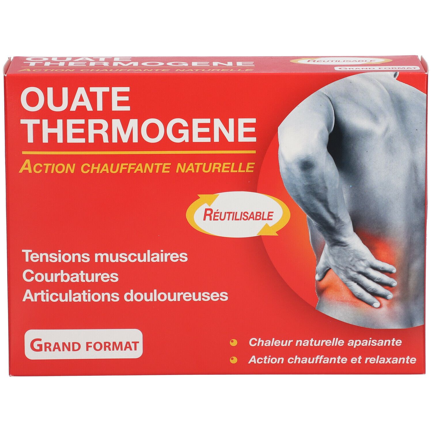 Reutilisable Thermogene Watten Groot