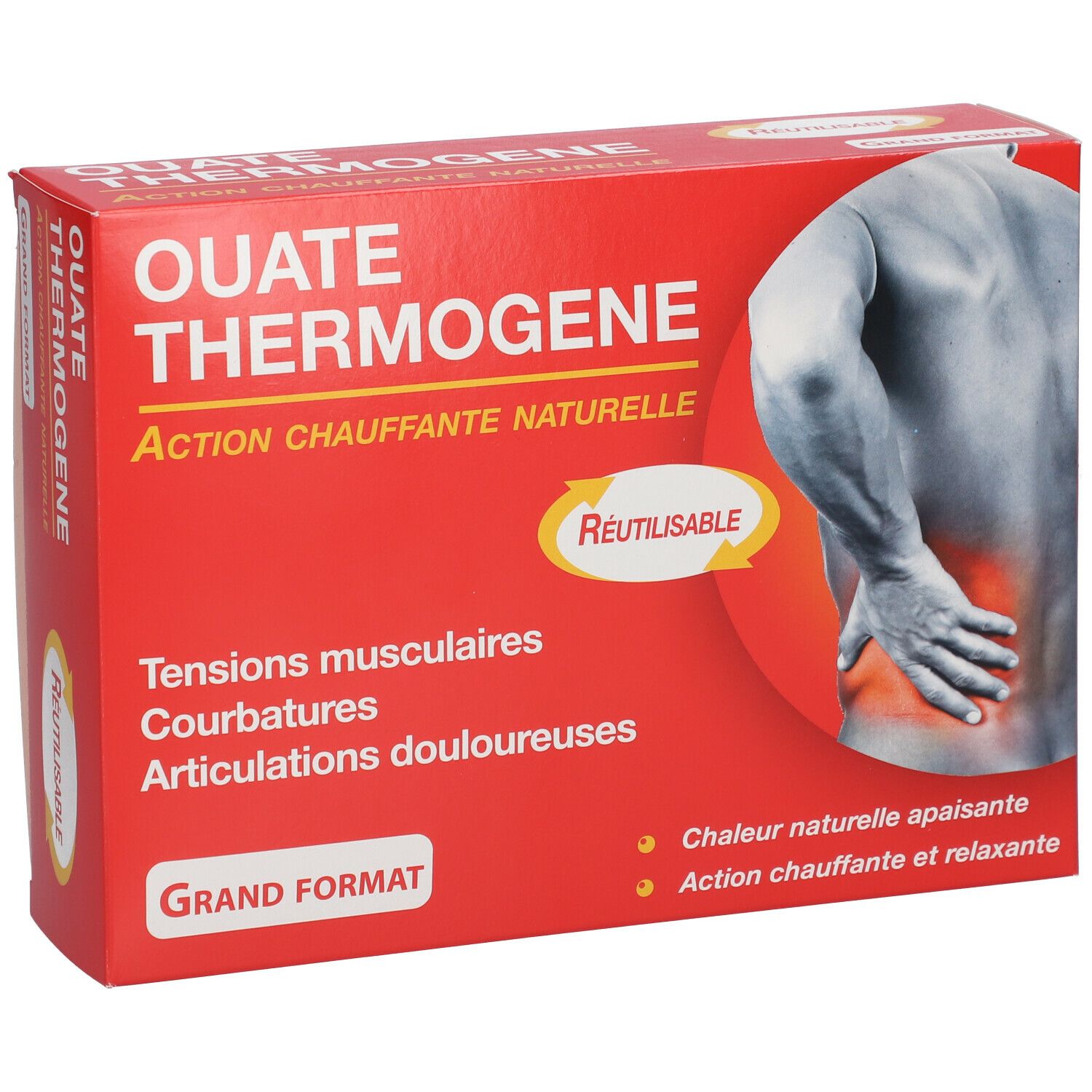 Reutilisable Thermogene Watten Groot