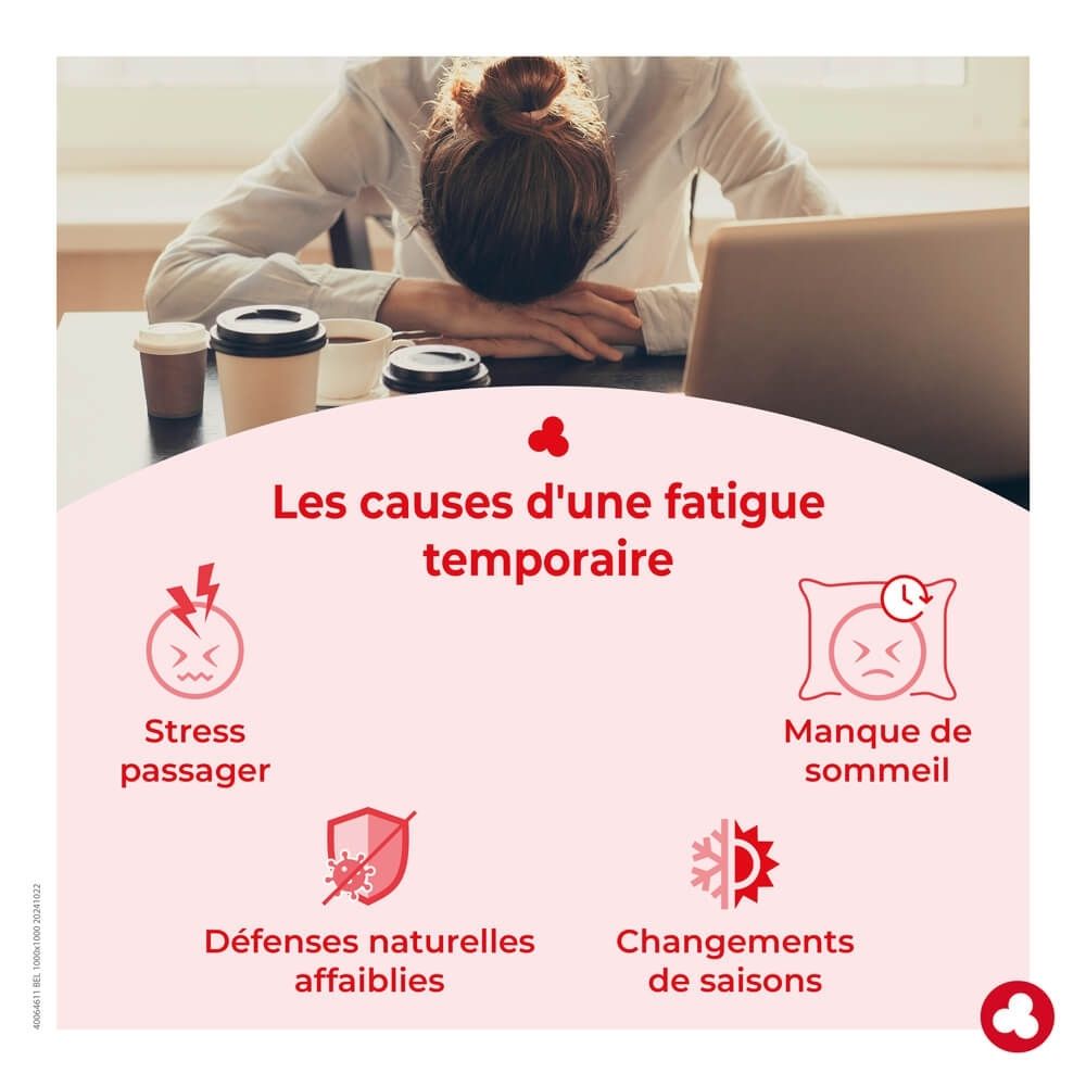 Ortis Ginseng Bio: Boîte de 20 flacons, focus haute concentration.
